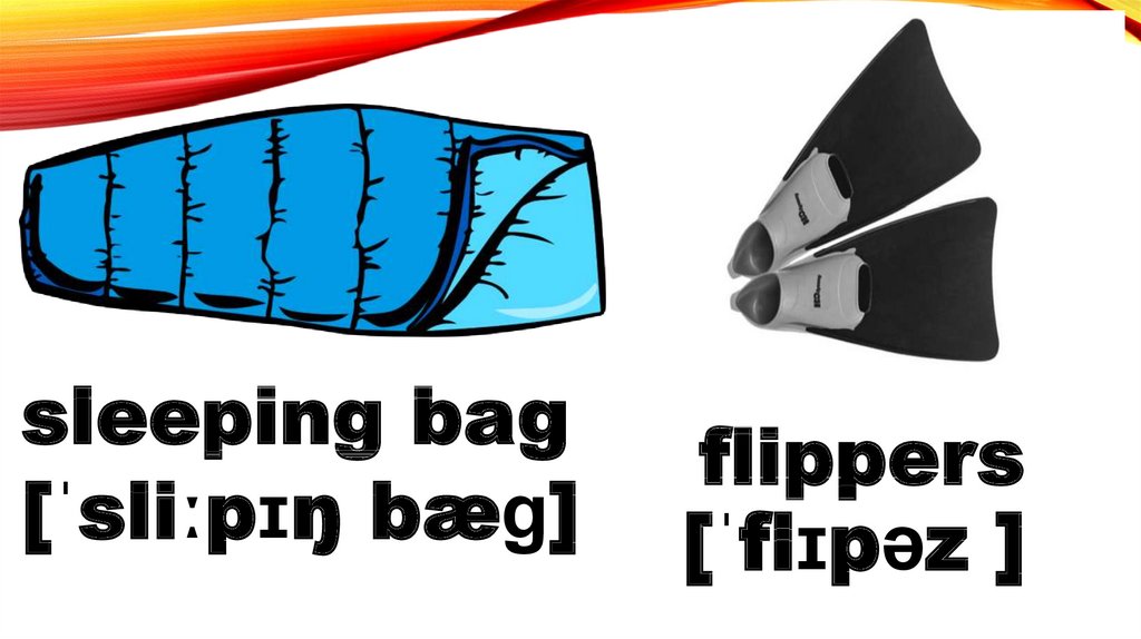 flippers [ˈflɪpəz ]