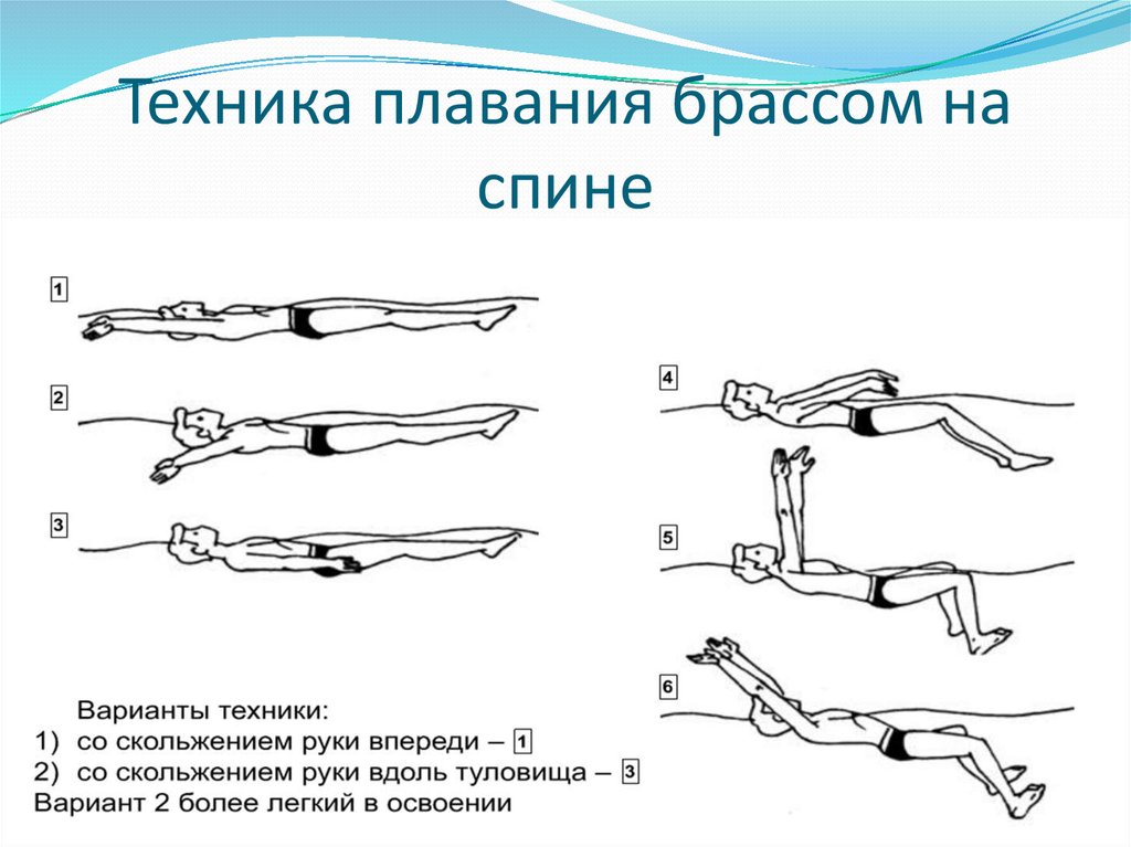 Брасс техника плавания схема