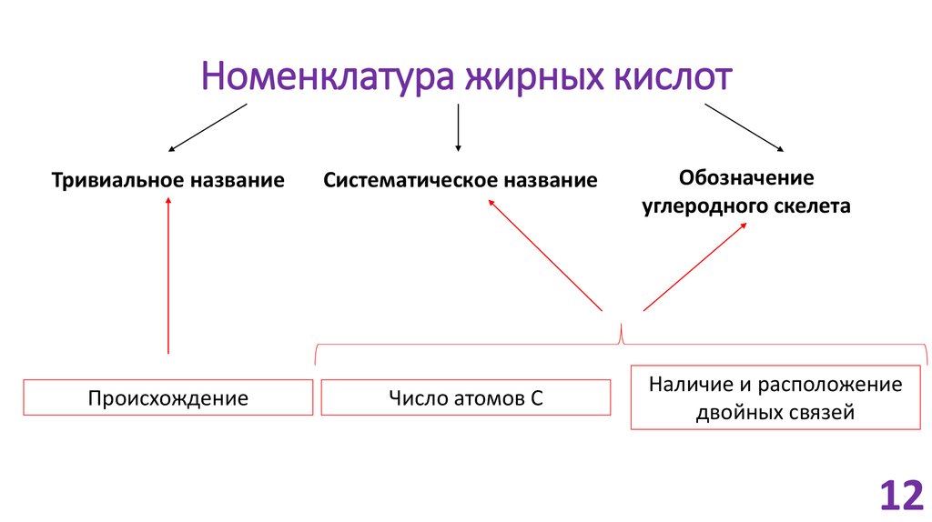 Кислоты классификация номенклатура. Классификация и номенклатура жирных кислот. Жирные кислоты их классификация и номенклатура. Номенклатура ненасыщенных жирных кислот. Классификация жирных кислот биохимия.