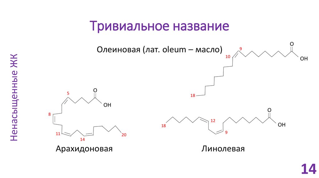 Жирные кислоты олеиновая. Номенклатура липидов. Номенклатура жирных кислот. Липиды жирные кислоты и их номенклатура. Тривиальное.