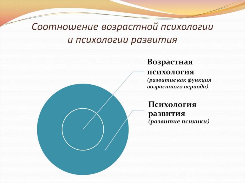 Соотношение возрастной психологии и психологии развития