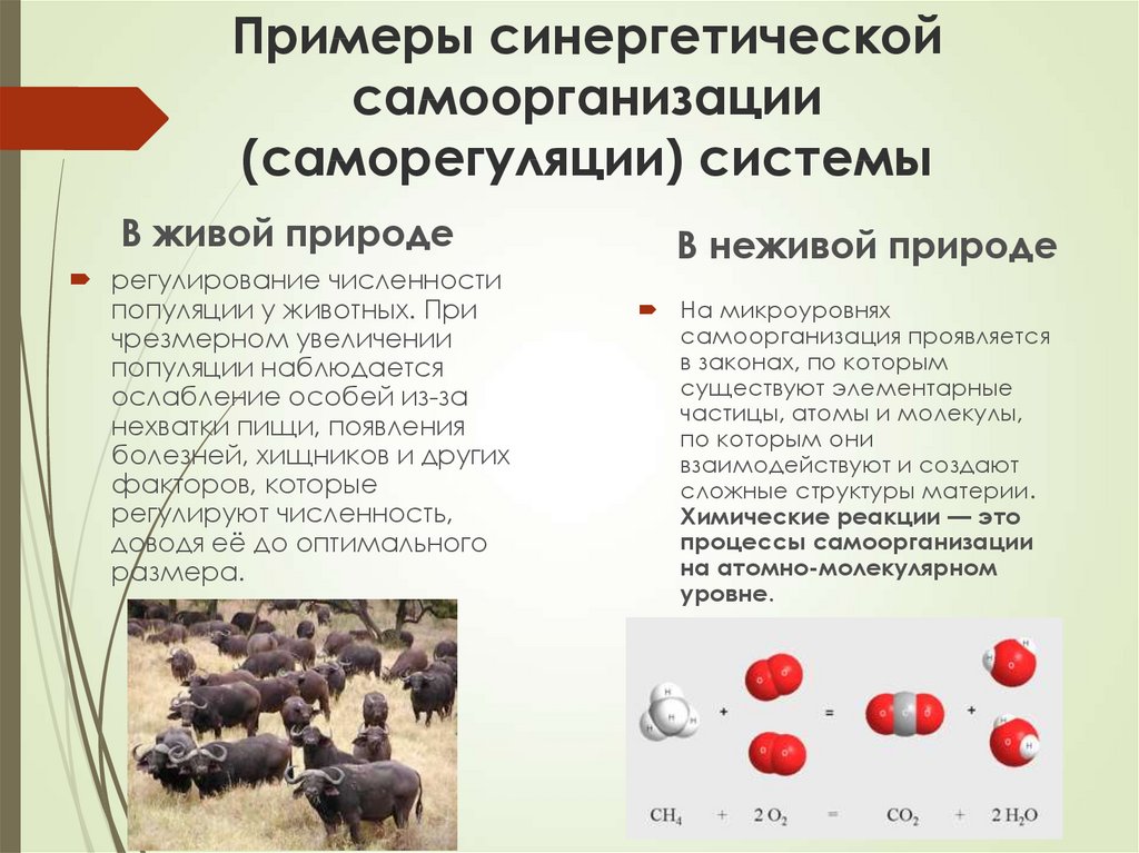 Для Синергетического Стиля Личности Не Характерно