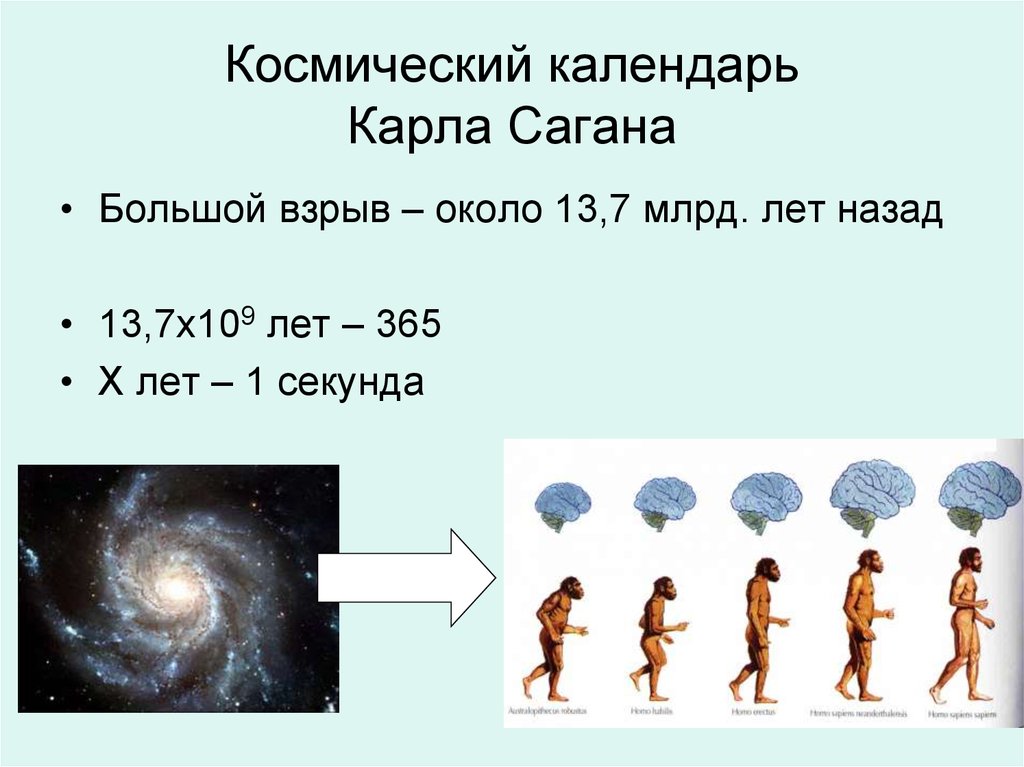 Космическая секунда. Космический календарь Карла Сагана. Космическая секунда равна. Одна Космическая секунда равна пятистам земных лет.. Миллиарды лет эволюции.