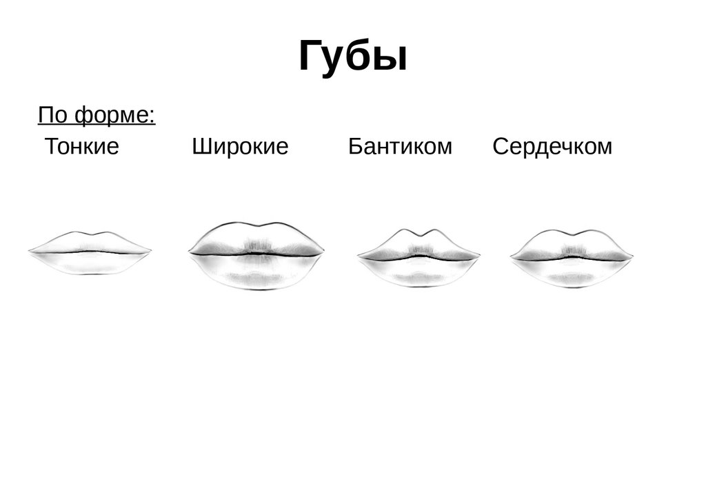 Как отличить губы. Формы губ. Виды губ. Формы женских губ. Разновидности форм губ.