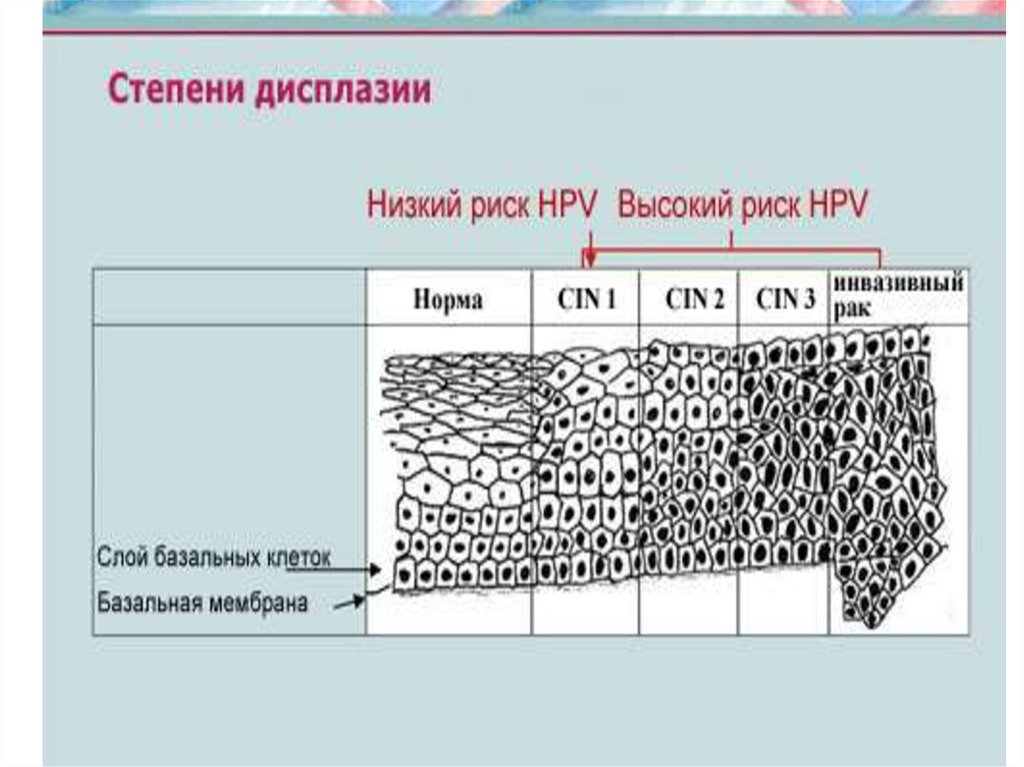 Цитологическая карта это