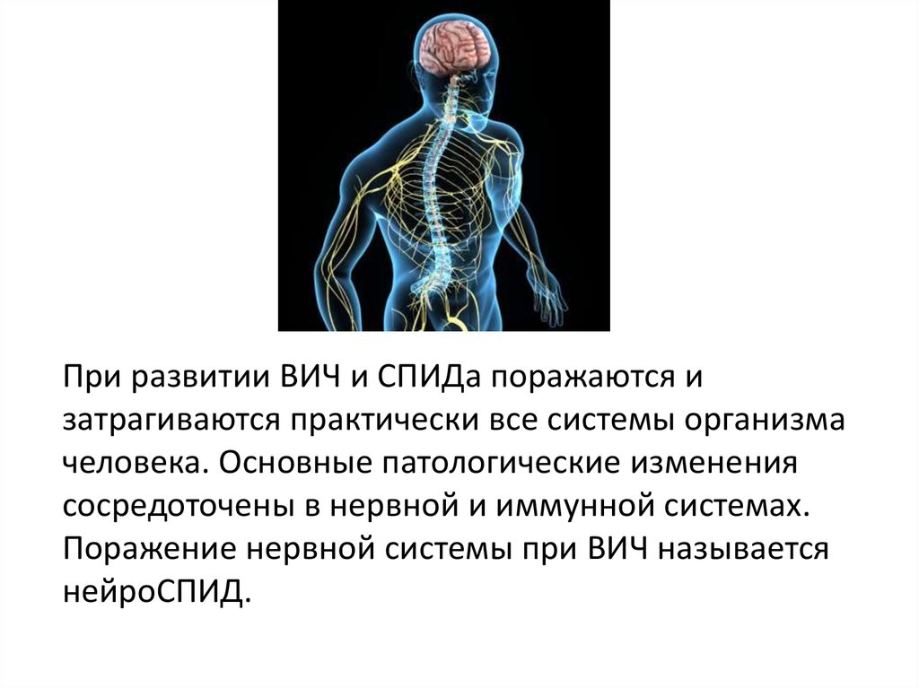 Нейроспид неврология презентация