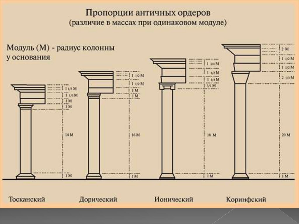Номер ордера. Пропорции колонны дорического ордера. Коринфский ордер пропорции. Дорический ордер древней Греции. Дорический ордер радиус колонны.