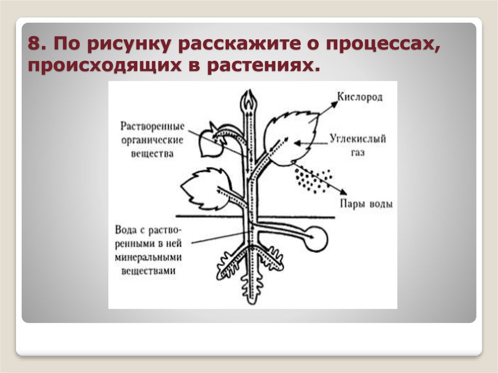 Опишите процесс на рисунке