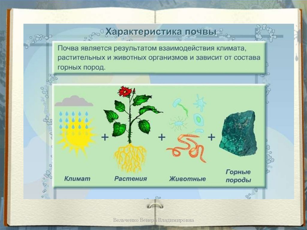 Что растения получают из почвы. Макет что растения получают из почвы. Почва и растения взаимосвязь. Что растения получают из почвы схема. Модель почвы 3 класс.