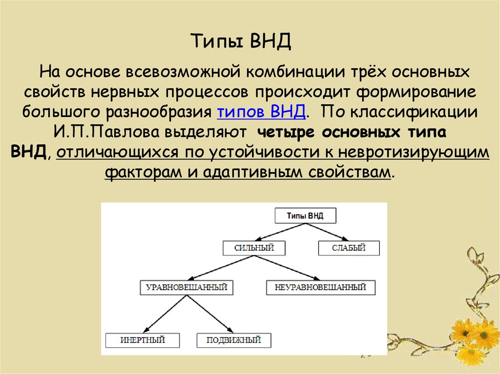 Типы высшей нервной деятельности