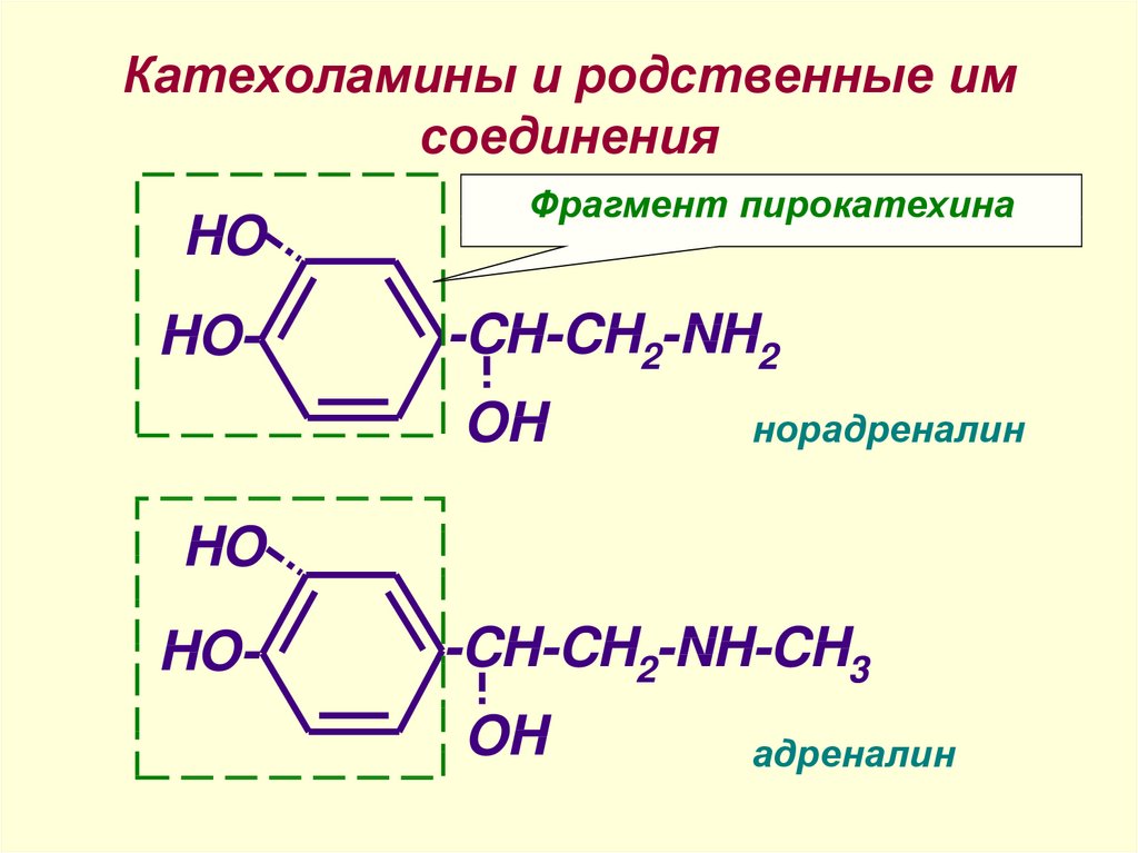 Катехоламины и родственные им соединения