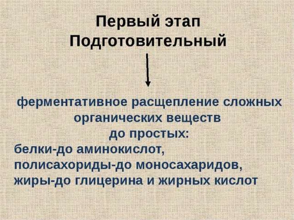 Обеспечивает клетку энергией. Подготовительная стадия обеспечения клеток энергией. Ферментативное расщепление. Ферментативное расщепление органических веществ. Энергетическое обеспечение клетки 10 класс презентация.