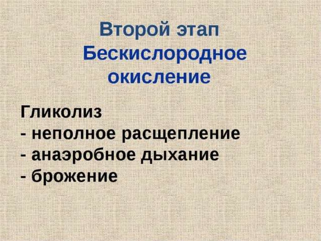 Обеспечение клетки. Обеспечение клеток энергией. Этапы обеспечения клеток энергией. Обеспечение клеток энергией стадии. Обеспечение клеток энергией 9 класс этапы.