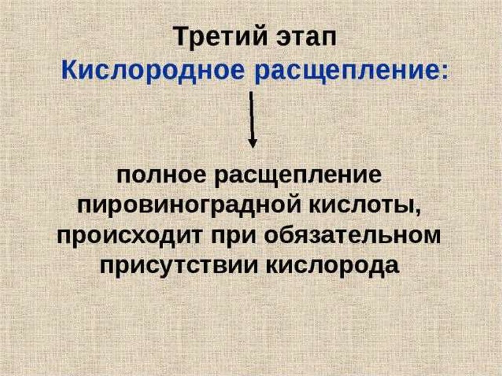 Кислородное расщепление. Полное кислородное расщепление. 3 Этап полное кислородное расщепление. Кислородное расщепление пировиноградной кислоты.