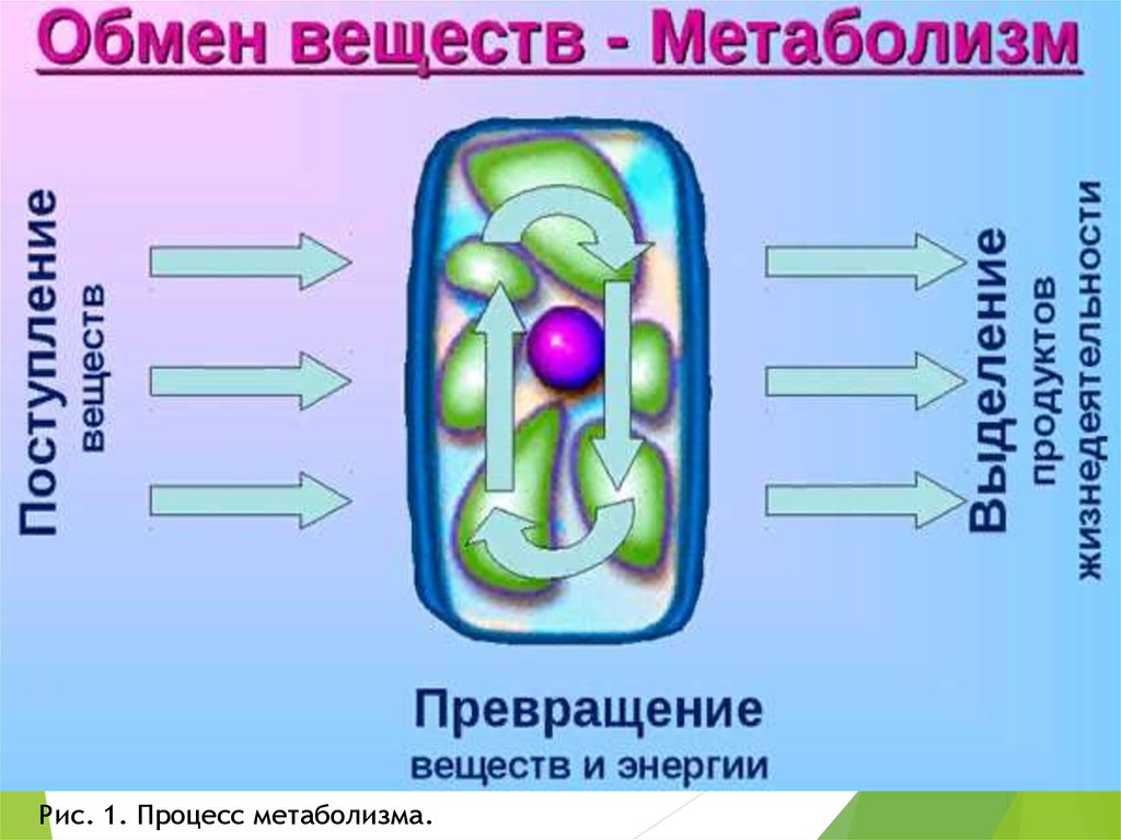 Схема питания клетки