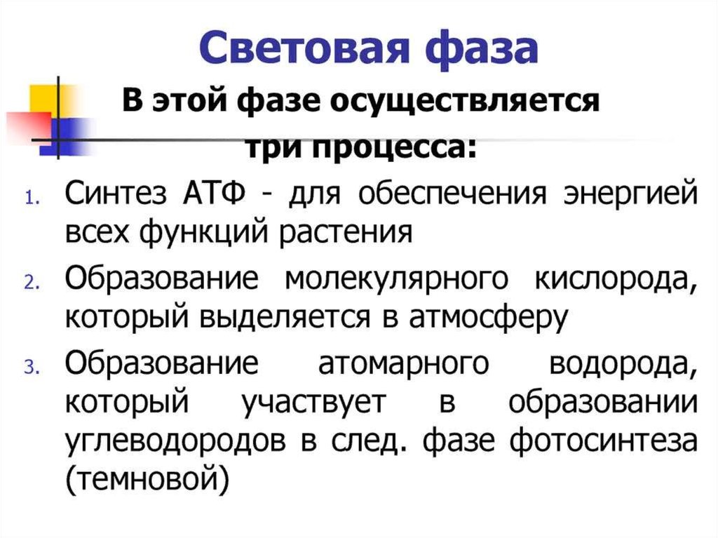 Обеспечение клеток энергией. Обеспечение клетки энергией осуществляет. Световая фаза как. Световую фазу открыл. Световые фазы фототехники.