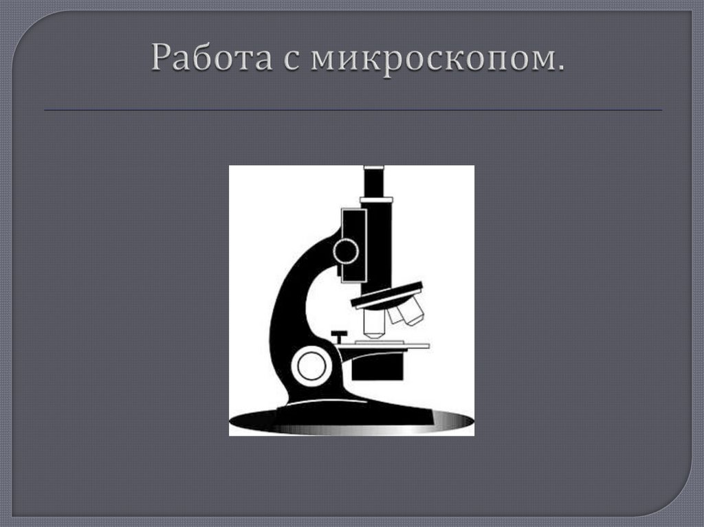 Работа с микроскопом. С микроскопом работать довольно.