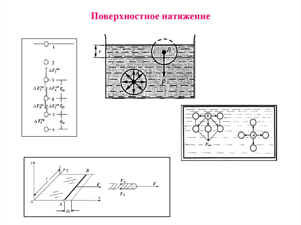 Поверхностное натяжение рисунок. Сила поверхностного натяжения рисунок. Схема установки для определения поверхностного натяжения. Поверхностное натяжение схема. Сила поверхностного натяжения жидкости.