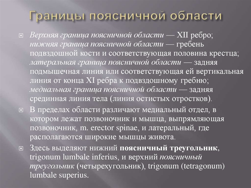 Поясничный треугольник