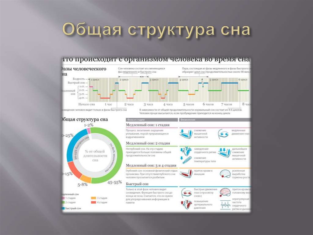 Диаграмма сна. Фазовая структура сна. Нормальная структура сна. Структура и фазы сна. Структура сна фазы стадии.