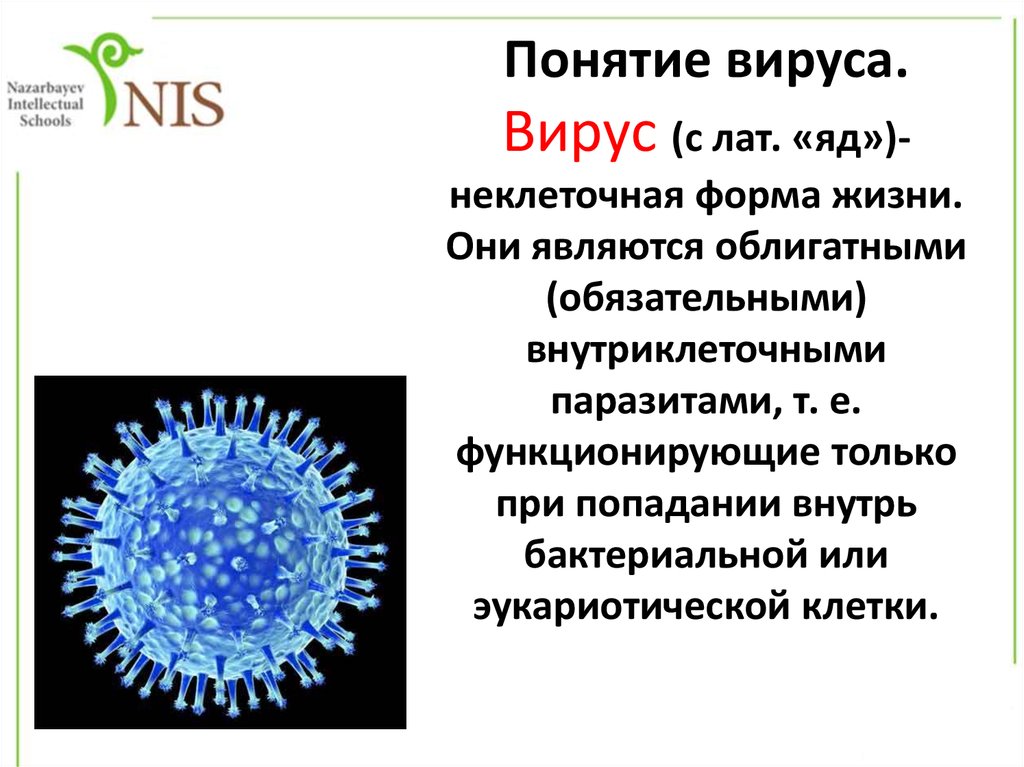 Вирус является формой жизни. Особенности вирусов микробиология. Вирусы микробиология. Морфология вирусов. Формы вирусов.
