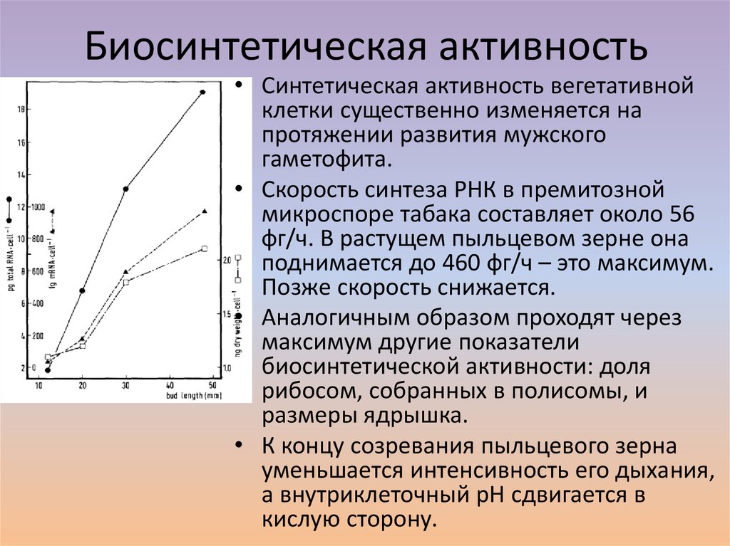 Активность клетки. Синтетическая активность клетки это. Биосинтетическая активность это. Синтетическая активность. Синтетическая синтетическая активность.