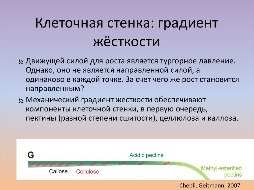 Является направленной