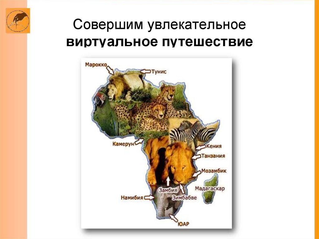 География 7 класс разнообразие природы африки. Разнообразие природы Африки 7 класс.