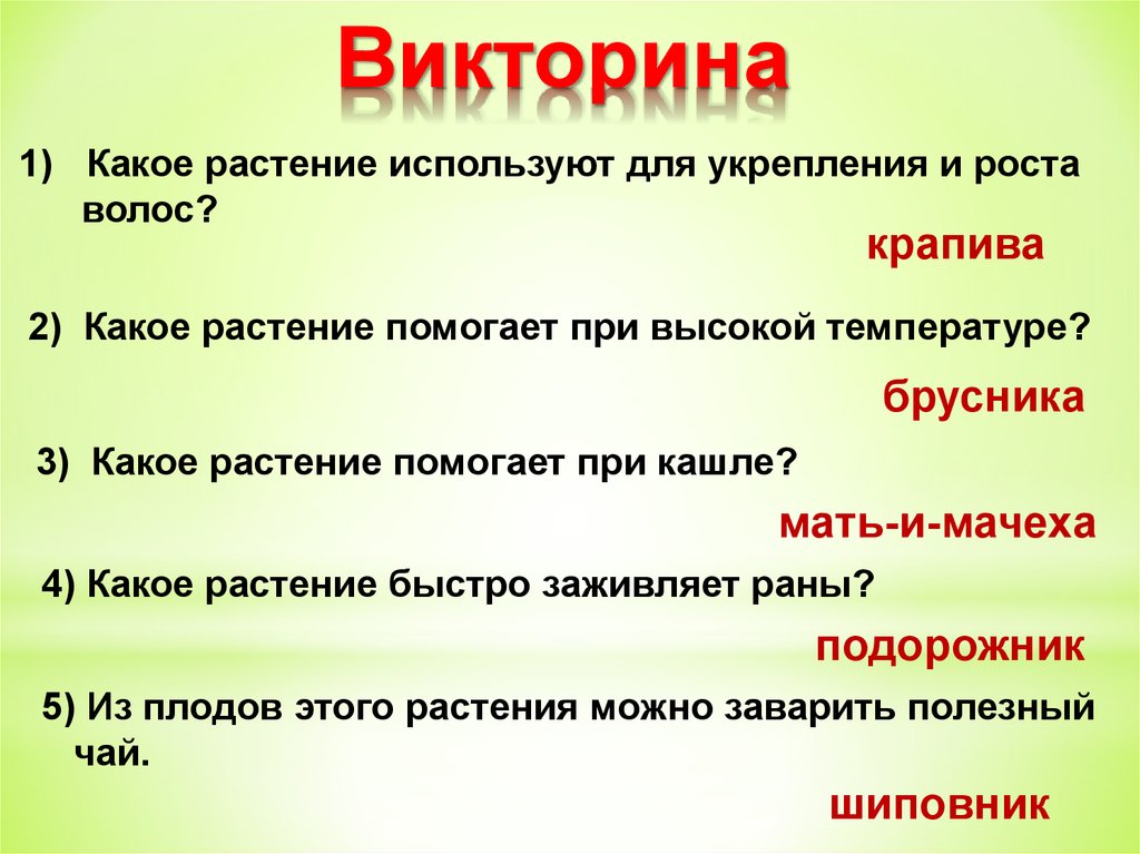 Какие вопросы по биологии. Вопросы про растения. Вопросы на тему растения. Викторина на тему растения. Викторина про растения для детей.