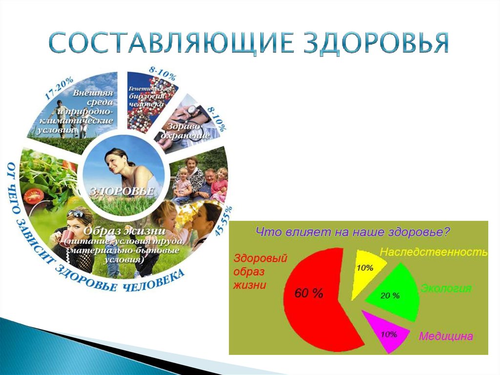 Физическая составляющая здоровье человека