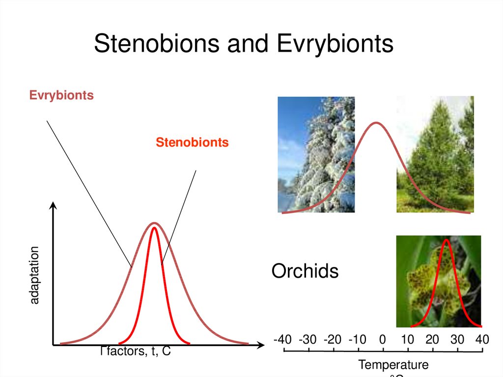 Stenobions and Evrybionts
