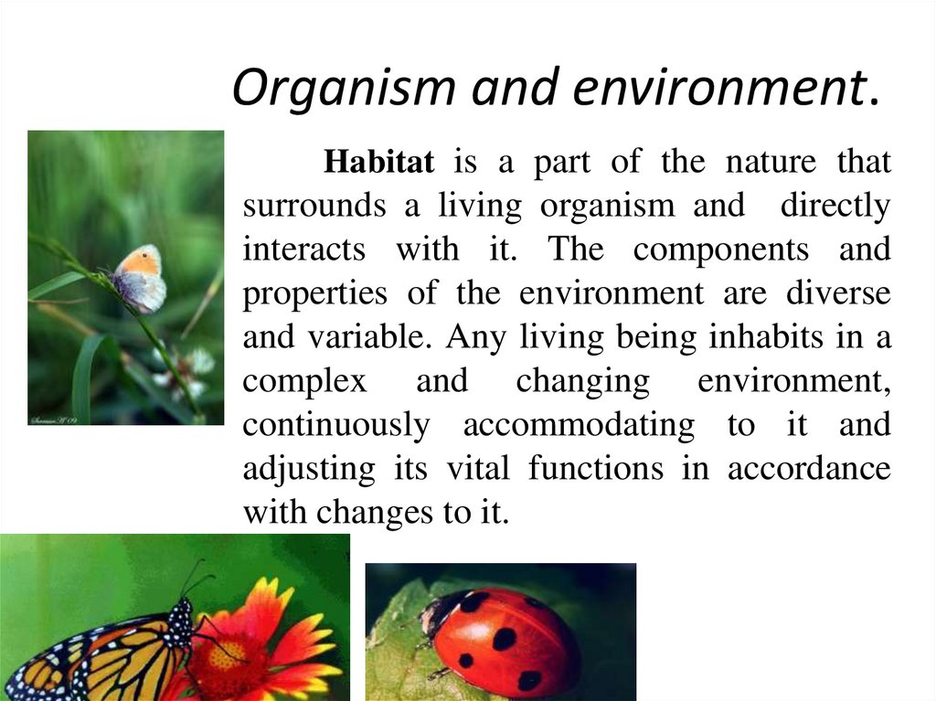 Organism and environment.