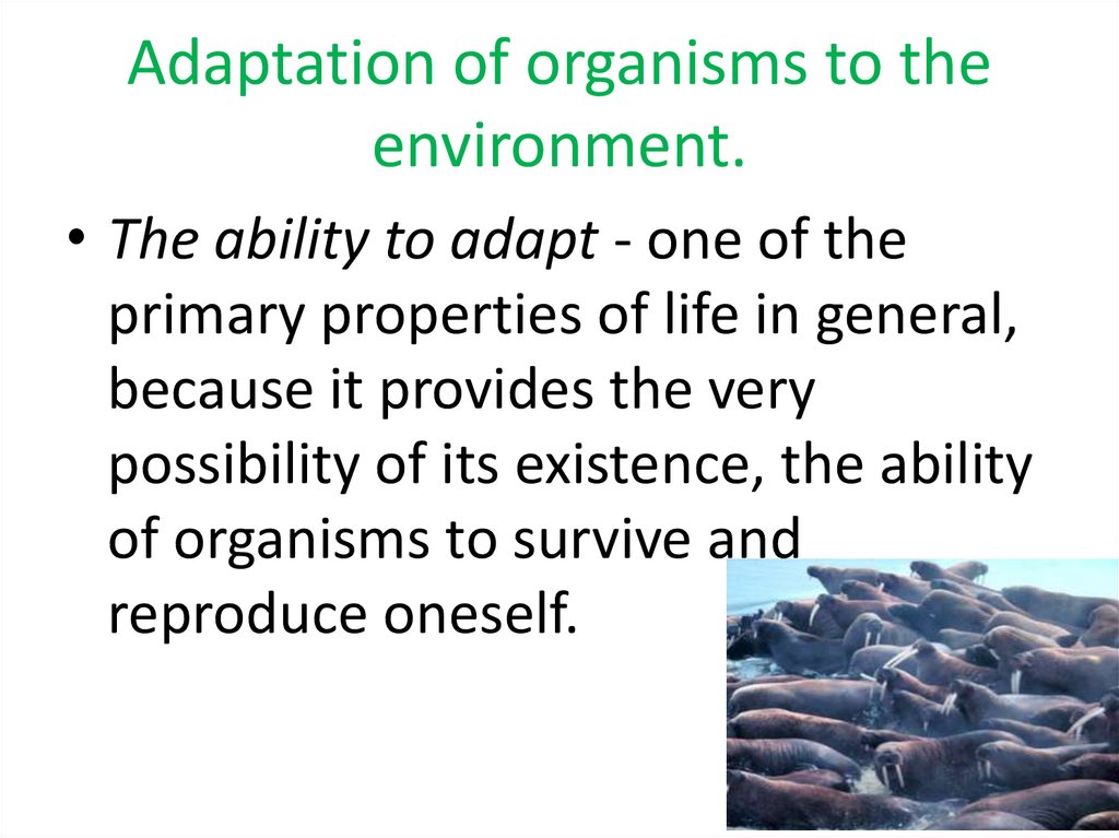 Adaptation of organisms to the environment.