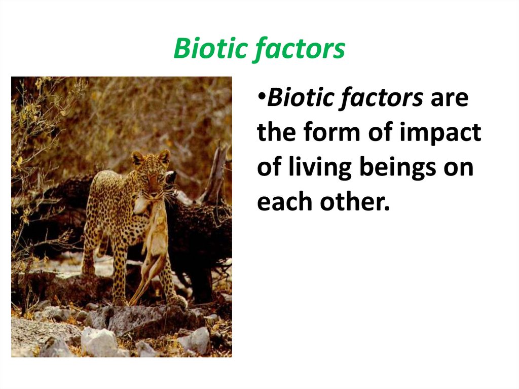 Biotic factors