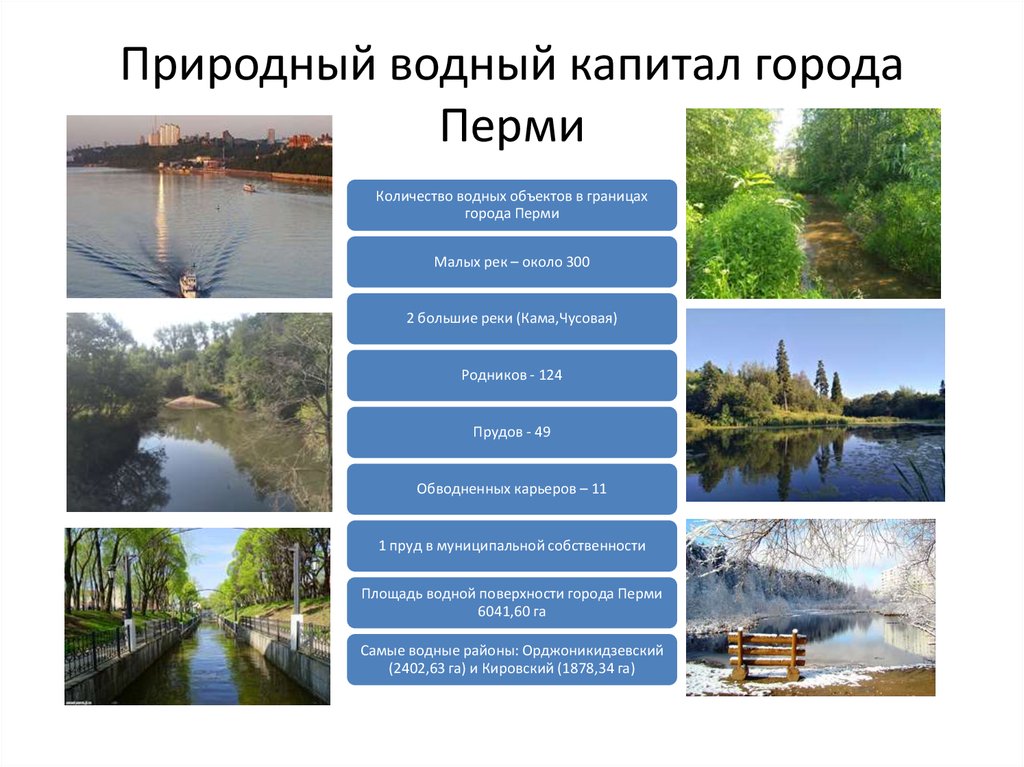 Водные объекты Перми. Естественные водные объекты. Естественные водные объекты Пермского края.