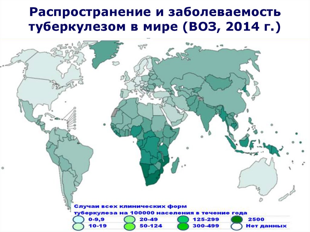 Туберкулез 2022 года. Заболеваемость туберкулезом в мире. Туберкулез распространение в мире и России. Распространенность туберкулеза в мире. Заболеваемость туберкулезом в мире 2022.