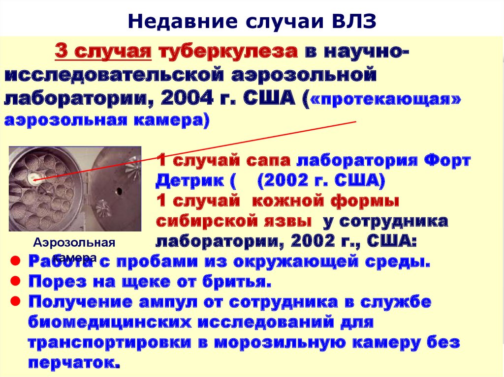 При подозрении на сибирскую язву персонал надевает