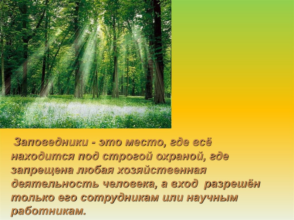 Презентация природа в классе перспектива. Где природу охраняют строже всего. Окружающий мир заповедные тропинки. Презентация заповедными тропами природы. Природа под строгой охраной.