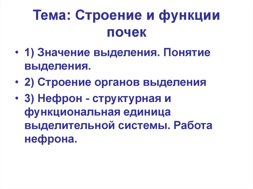 Функции почек презентация