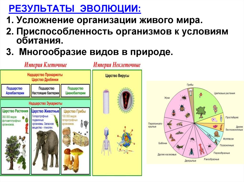 Результаты эволюции презентация 9 класс. Многообразие видов живых организмов. Результаты эволюции: многообразие видов. Результат эволюции видовое разнообразие. Многообразие животных результат эволюции.