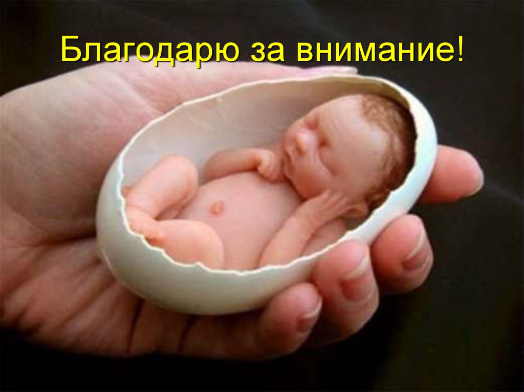 Благодарю за внимание!