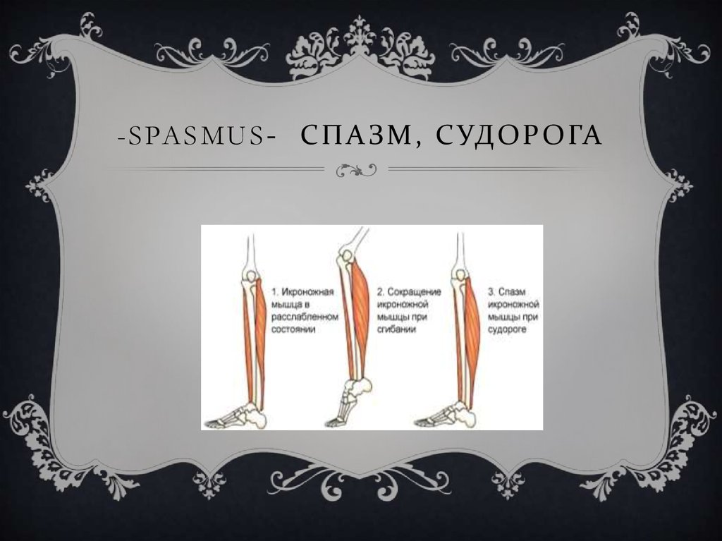 -spasmus- спазм, судорога