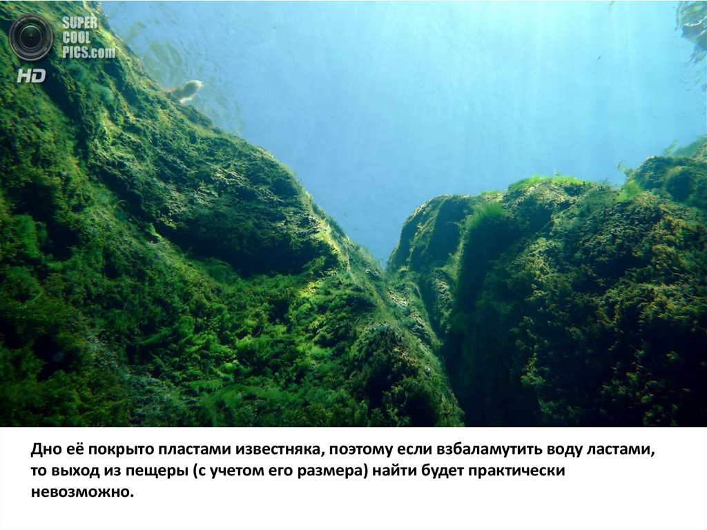 Дно её покрыто пластами известняка, поэтому если взбаламутить воду ластами, то выход из пещеры (с учетом его размера) найти