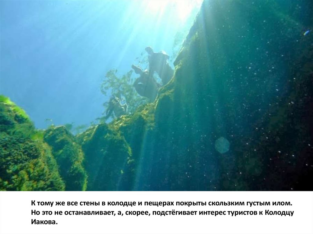 К тому же все стены в колодце и пещерах покрыты скользким густым илом. Но это не останавливает, а, скорее, подстёгивает интерес