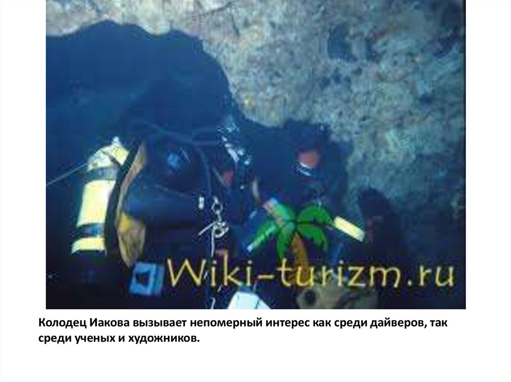 Колодец Иакова вызывает непомерный интерес как среди дайверов, так среди ученых и художников.
