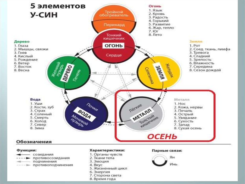 Тест 5 элементов