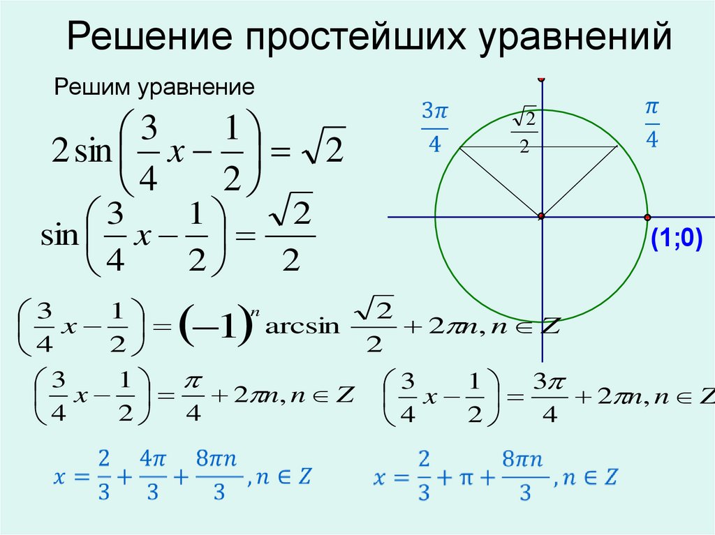 Корни принадлежащие