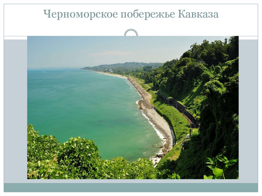 Черноморский берег кавказа. Субтропики Черноморского побережья России. Субтропики Черноморского побережья Кавказа. Зона субтропиков Черноморское побережье. Рельеф Черноморского побережья России.