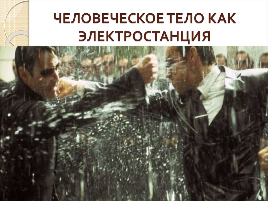 ЧЕЛОВЕЧЕСКОЕ ТЕЛО КАК ЭЛЕКТРОСТАНЦИЯ