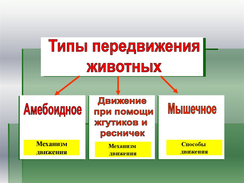 Способ передвижения группы